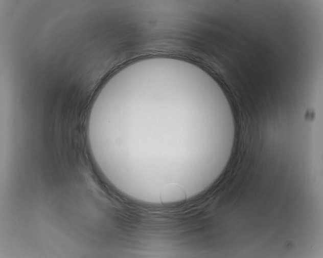 X0000114130546200910081005