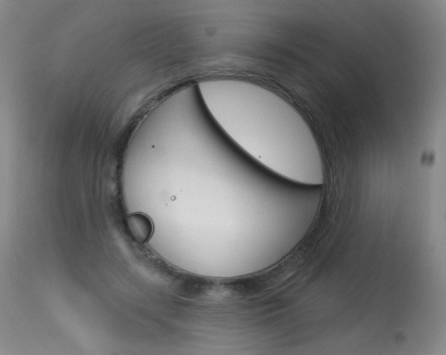X0000114130547200910081005