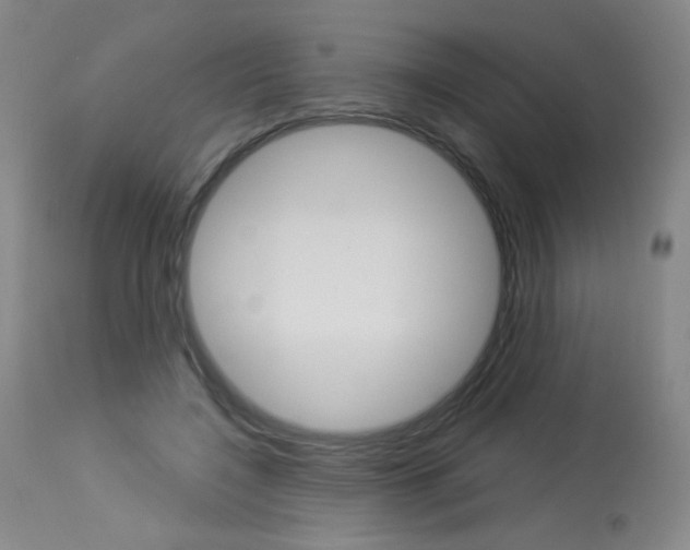 X0000114130548200910081005