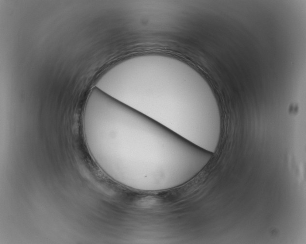 X0000114130551200910081005