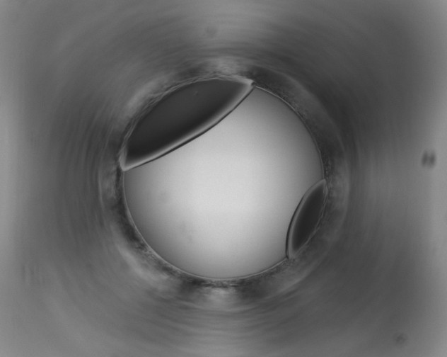 X0000114130552200910081005
