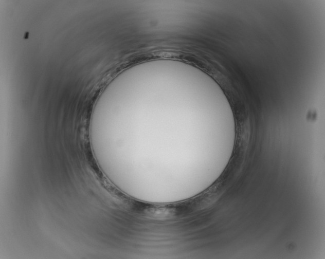 X0000114130553200910081005