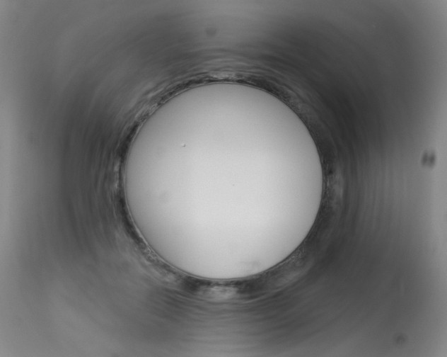 X0000114130554200910081005