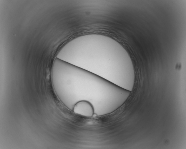 X0000114130555200910081005