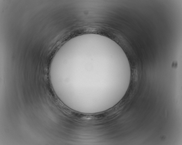 X0000114130557200910081005