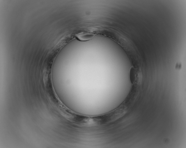 X0000114130558200910081005