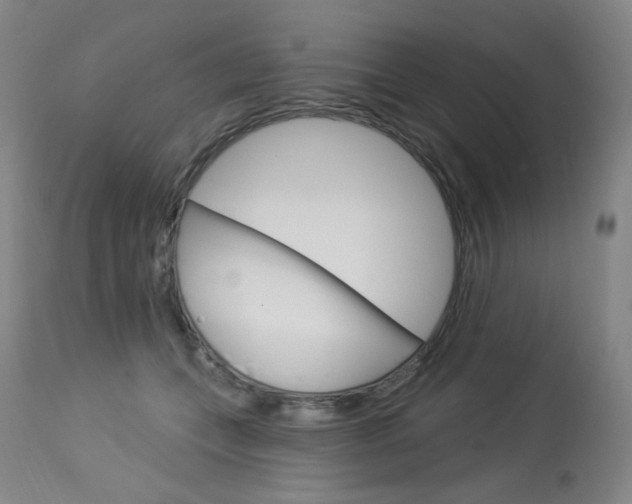 X0000114130559200910081005