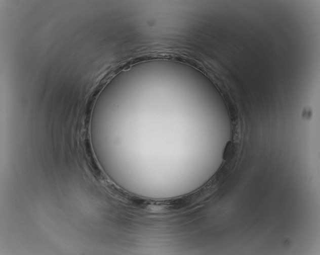 X0000114130560200910081005