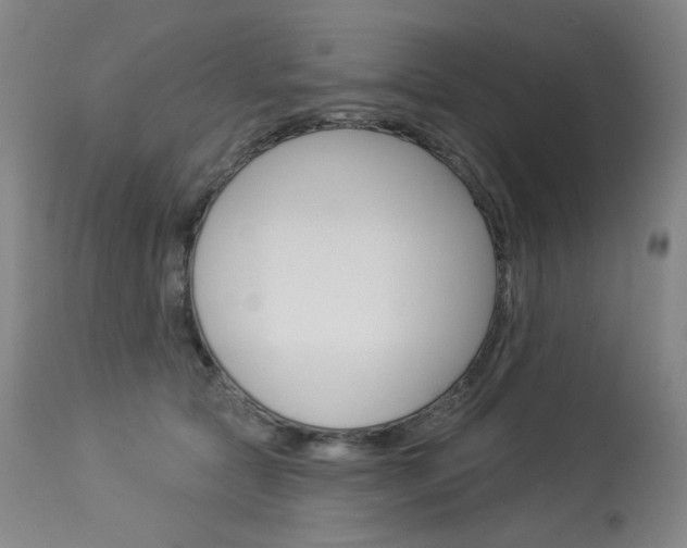 X0000114130561200910081005