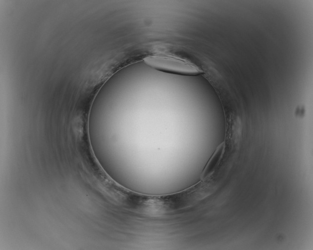 X0000114130562200910081005