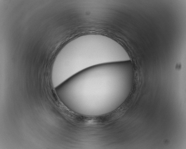 X0000114130564200910081005