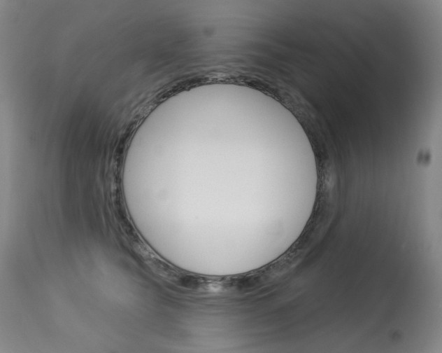 X0000114130565200910081005