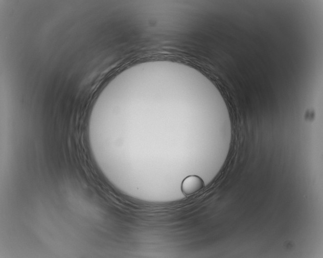 X0000114130566200910081005
