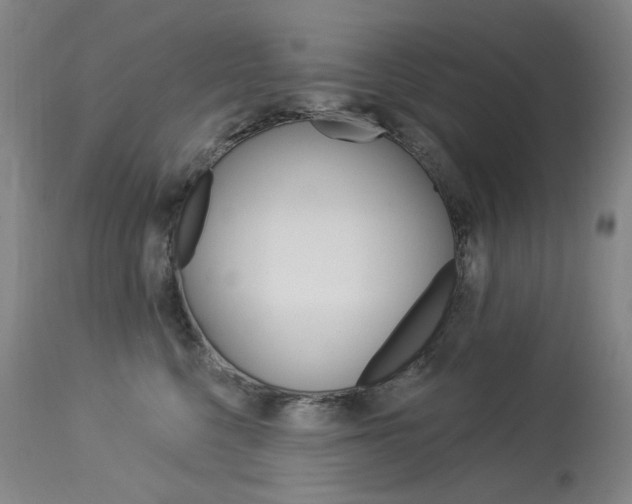 X0000114130568200910081005