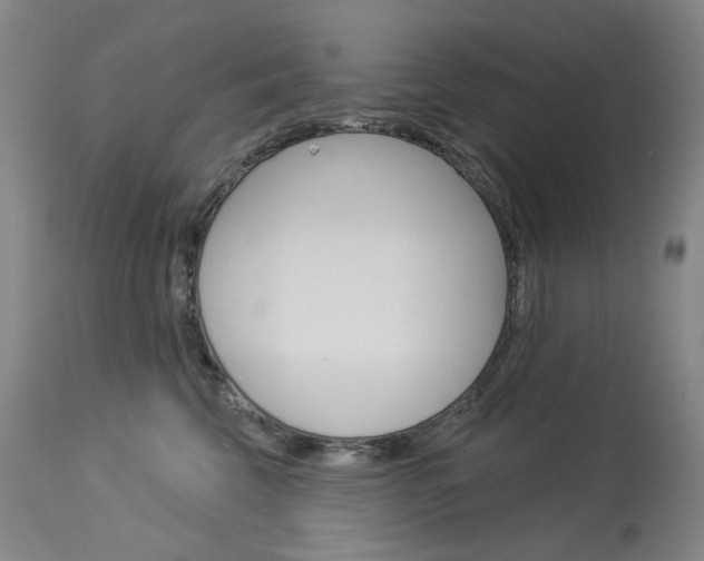 X0000114130569200910081005