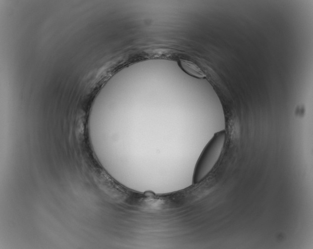 X0000114130570200910081005