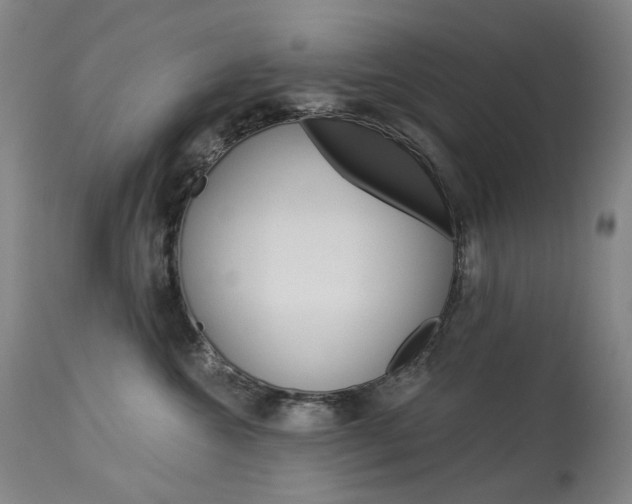 X0000114130572200910081005