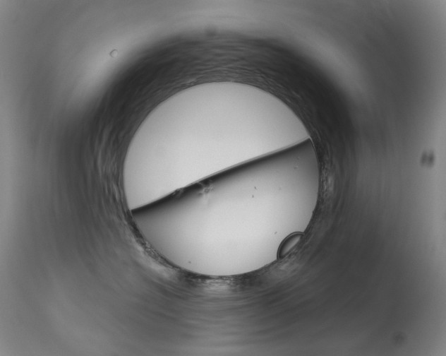 X0000114130574200910081005