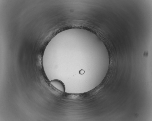 X0000114130575200910081005