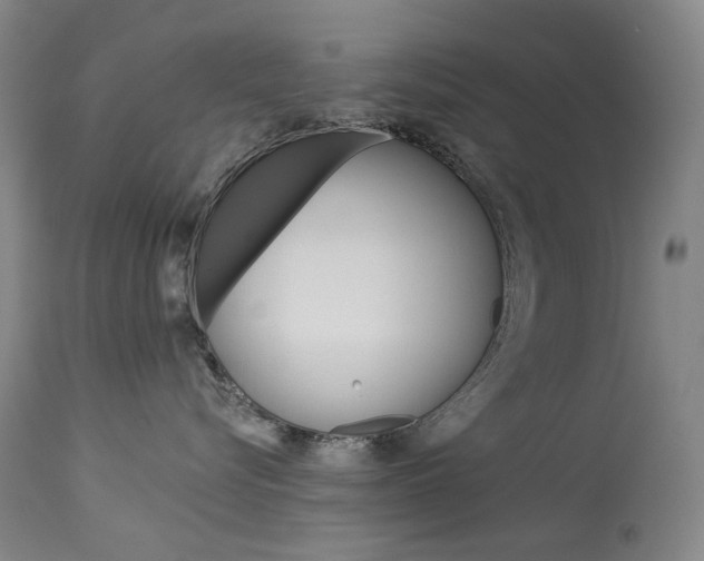 X0000114130576200910081005