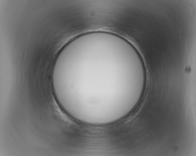 X0000114130577200910081005