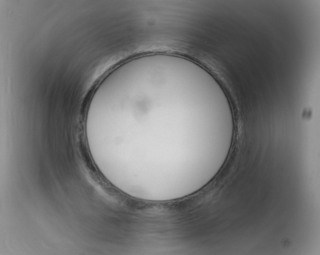 X0000114130578200910081005