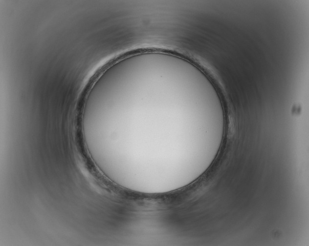 X0000114130580200910081005