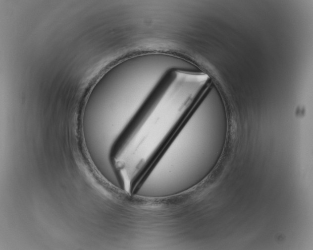 X0000114130581200910081005