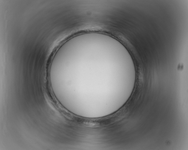 X0000114130582200910081005