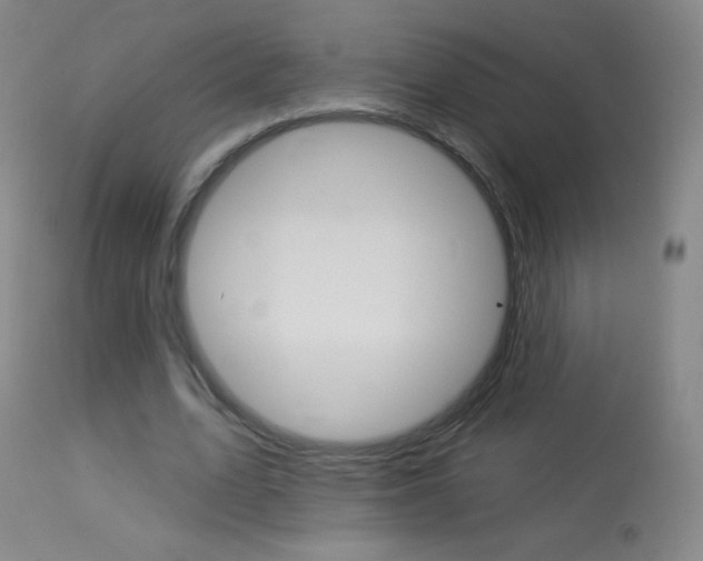 X0000114130583200910081005