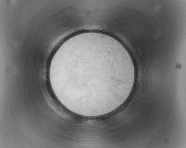 X0000114130584200910081005