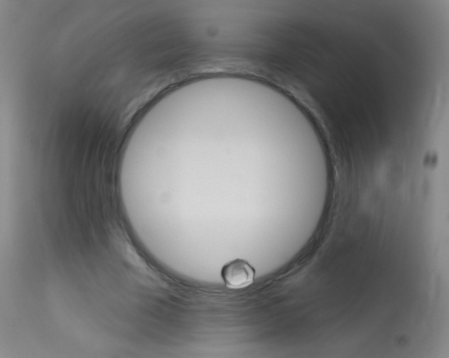 X0000114130585200910081005