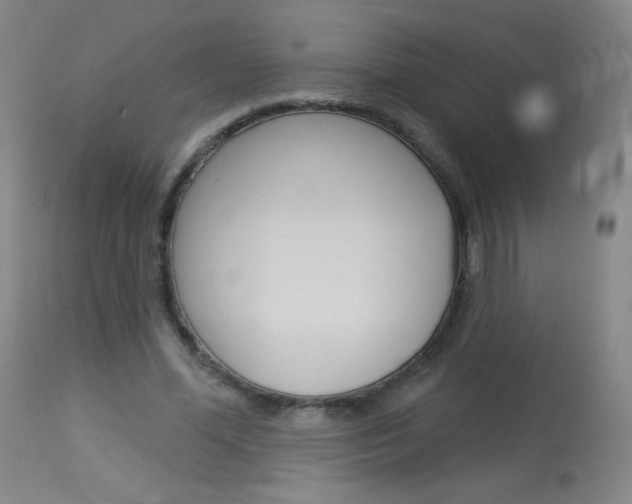 X0000114130588200910081004