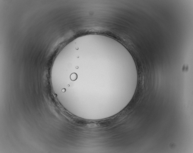 X0000114130591200910081004