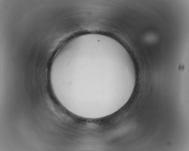 X0000114130592200910081004