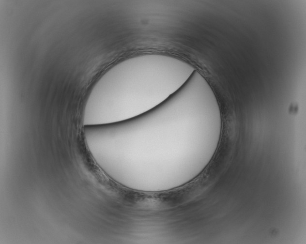 X0000114130594200910081004