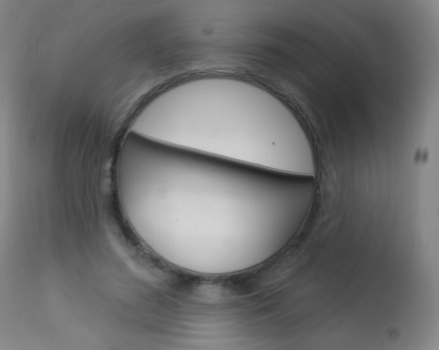 X0000114130596200910081004