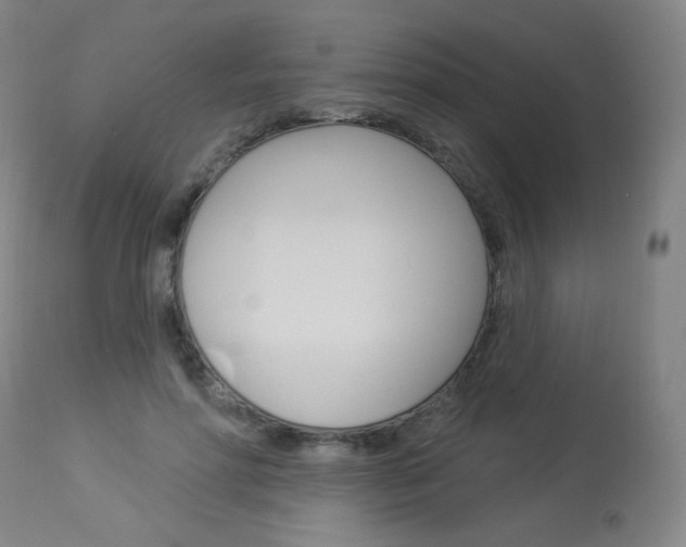 X0000114130598200910081004