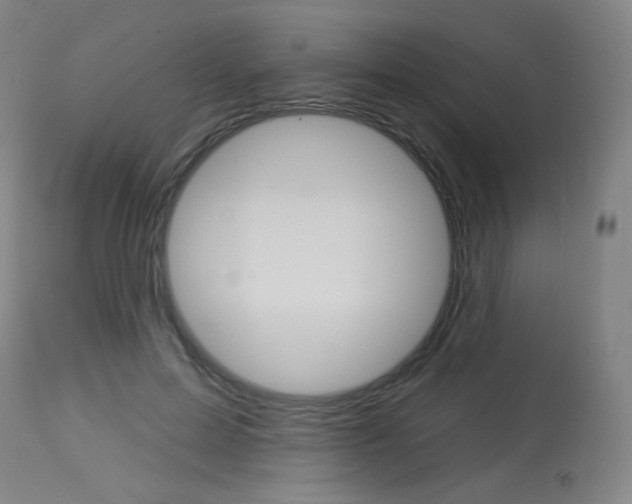 X0000114130599200910081004