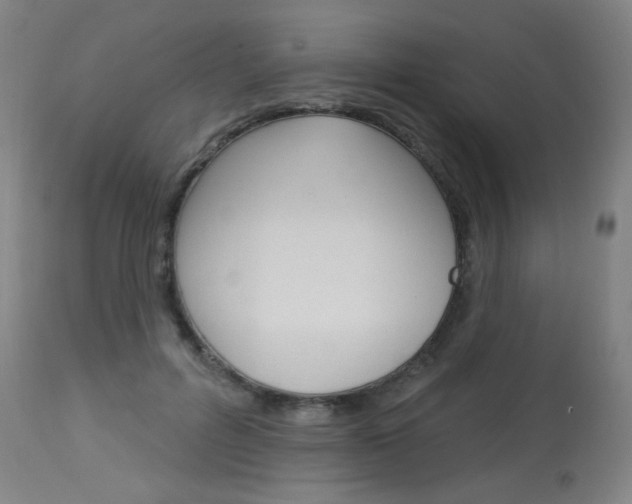 X0000114130600200910081004
