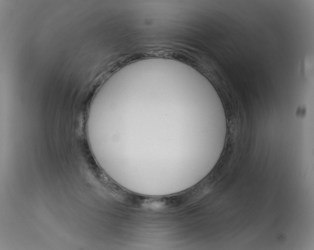 X0000114130602200910081004