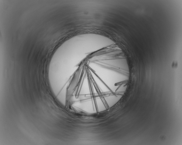 X0000114130605200910081004