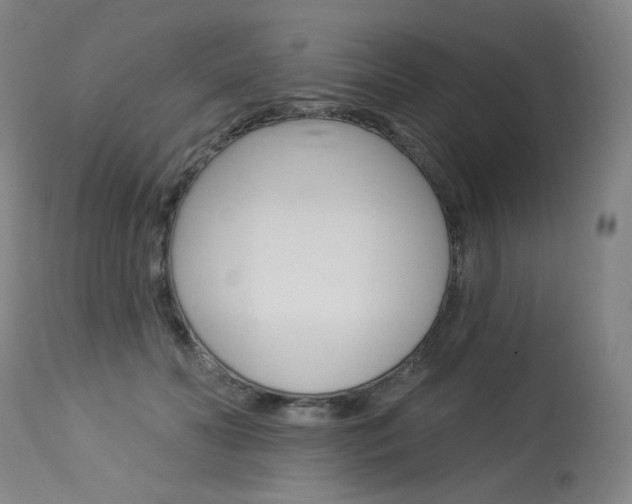 X0000114130606200910081004