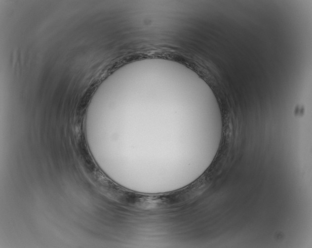 X0000114130607200910081004