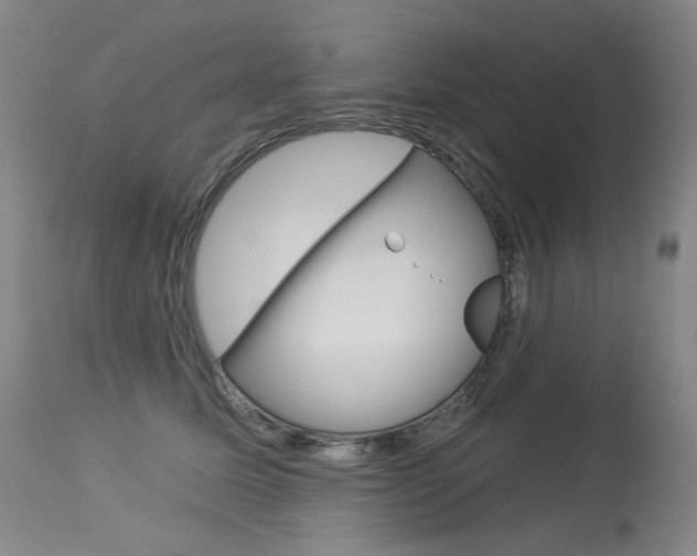 X0000114130611200910081004