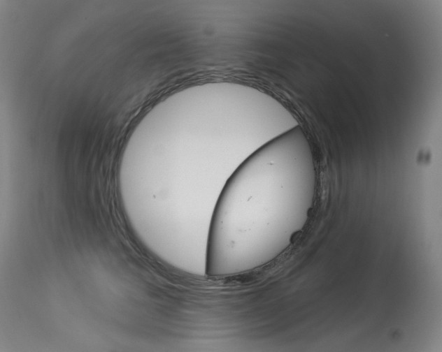 X0000114130613200910081004
