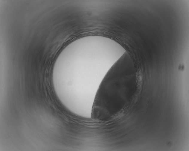 X0000114130615200910081004