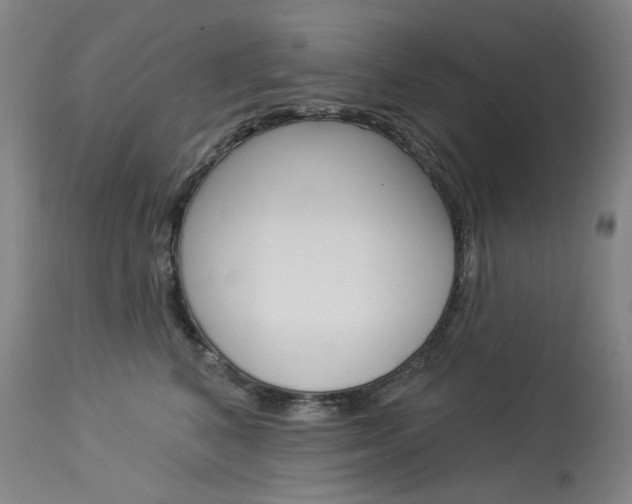 X0000114130616200910081004