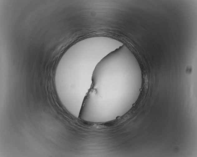 X0000114130617200910081004