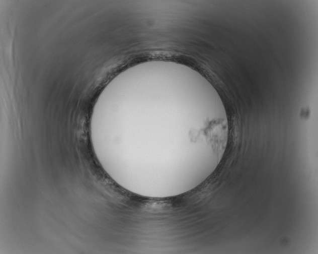 X0000114130619200910081004